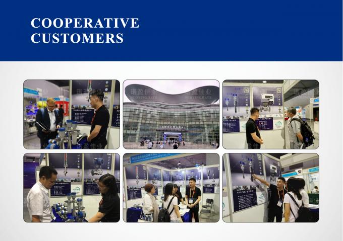 Medidor de Densidade de Garfo NYDE para Aplicações de Mistura de Mídia Viscosa e de Baixa Condutividade 3